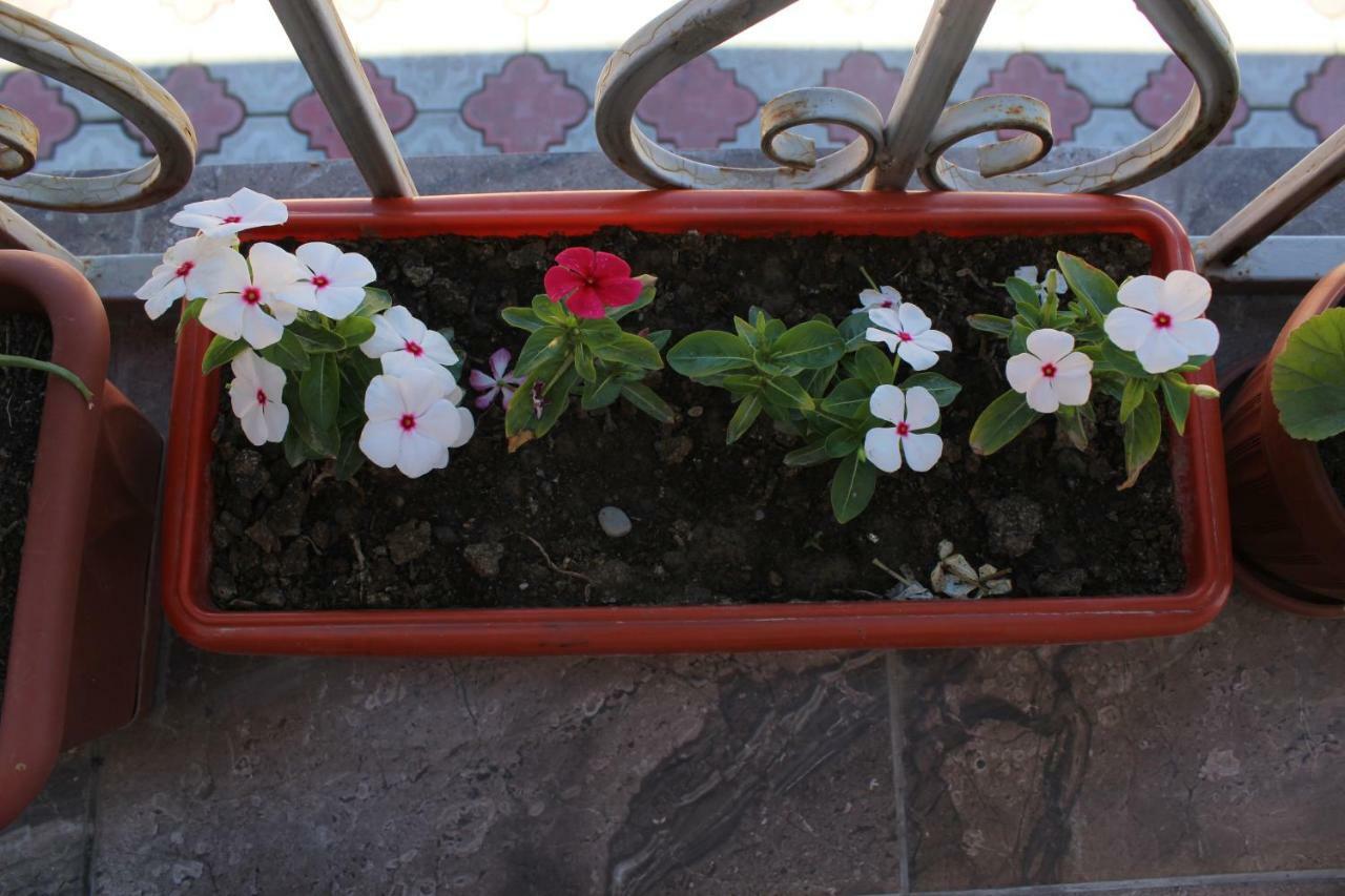 Guest House Etnodom Jalal-Abad Exterior photo